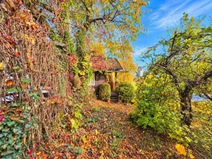 Prodej chaty, Trutnov - Poříčí, 15 m2