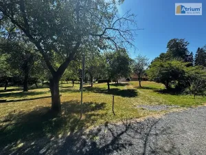 Pronájem zemědělské usedlosti, Ondřejov, Brožkova, 80 m2