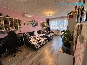 Prodej bytu 3+1, Dešenice, 80 m2