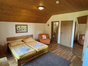 Prodej ubytování, Nové Hutě, 300 m2