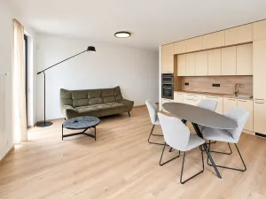 Prodej bytu 3+kk, Praha - Podolí, V rovinách, 80 m2