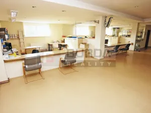 Pronájem kanceláře, Kojetice, 24 m2