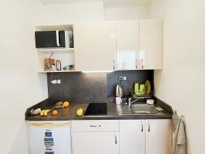 Pronájem bytu 1+kk, Brno, Skořepka, 24 m2