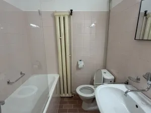 Pronájem bytu 1+1, Brno, Preslova, 38 m2