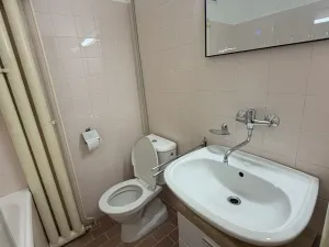 Pronájem bytu 1+1, Brno, Preslova, 38 m2