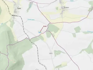 Dražba lesa, Trpík, 3972 m2