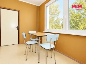 Prodej bytu 3+1, Ledeč nad Sázavou, Marie Majerové, 70 m2