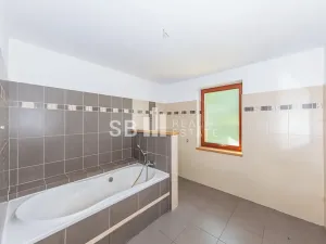 Prodej rodinného domu, Borová, 230 m2