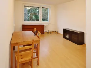Pronájem bytu 1+kk, Praha, Rochovská, 27 m2