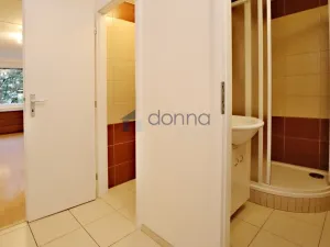 Pronájem bytu 1+kk, Praha, Rochovská, 27 m2