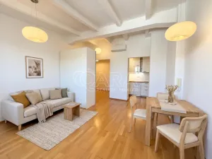 Pronájem bytu 1+kk, Praha - Dejvice, Kafkova, 39 m2