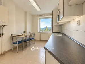 Prodej bytu 3+1, Znojmo, Vídeňská třída, 79 m2