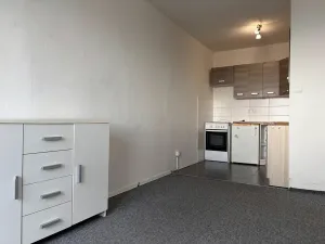 Pronájem bytu 2+kk, Litvínov, Přátelství, 52 m2