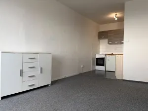 Pronájem bytu 2+kk, Litvínov, Přátelství, 52 m2