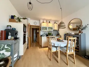 Pronájem bytu 2+kk, Praha - Vinohrady, Velehradská, 48 m2