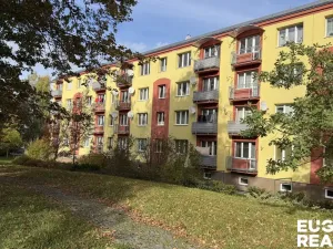 Prodej bytu 2+1, Šluknov, 54 m2