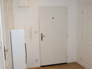 Pronájem bytu 2+kk, Praha, Lucemburská, 47 m2