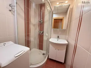 Prodej bytu 2+1, Osek, Hrdlovská, 52 m2