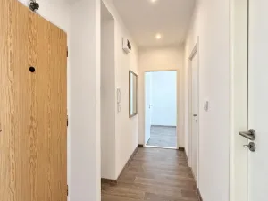 Prodej bytu 2+1, Teplice - Řetenice, V břízkách, 50 m2