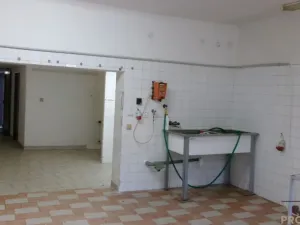 Pronájem výrobních prostor, Střelice, 120 m2