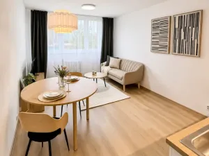 Prodej bytu 2+kk, Ostrava - Hrabůvka, Josefa Kotase, 37 m2