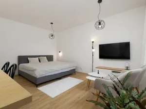 Pronájem bytu 1+kk, Ostrava - Moravská Ostrava, Na Fifejdách, 35 m2