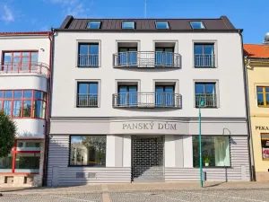 Prodej bytu 1+kk, Bystřice nad Pernštejnem, Masarykovo náměstí, 40 m2