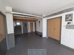Prodej bytu 2+1, Krnov - Pod Bezručovým vrchem, Vrchlického, 60 m2