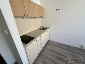 Pronájem bytu 1+kk, Hodonín, Pančava, 17 m2