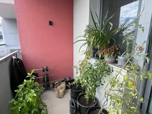 Pronájem bytu 2+kk, Brno, Klíčova, 39 m2