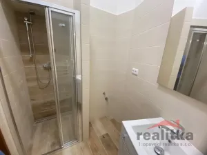 Pronájem bytu 2+1, Opava - Předměstí, Nákladní, 60 m2
