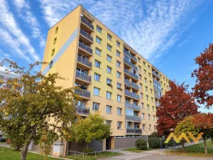 Pronájem bytu 1+1, Hradec Králové - Moravské Předměstí, Štefánikova, 38 m2