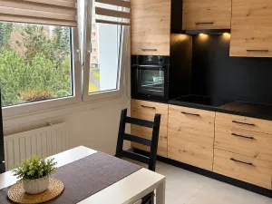 Pronájem bytu 1+1, Plzeň, Rabštejnská, 39 m2