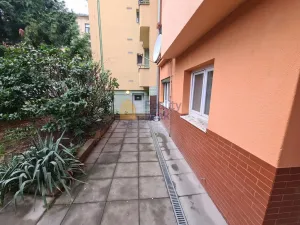 Prodej bytu 1+1, Brno - Staré Brno, Vodní, 24 m2