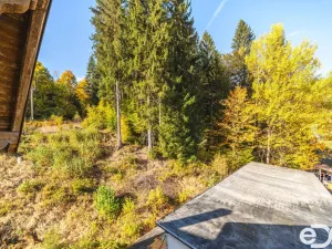Prodej bytu 1+kk, Kořenov, 29 m2