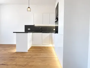 Prodej bytu 2+kk, Praha - Nusle, Na výsledku II, 50 m2