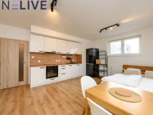 Prodej bytu 1+kk, Heřmanova Huť, U Pondu, 35 m2