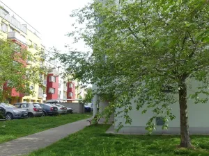 Prodej bytu 1+kk, Pardubice, Josefa Bublíka, 31 m2