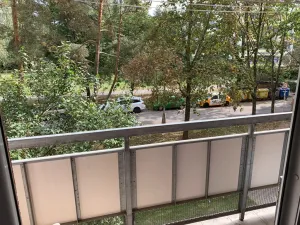Pronájem bytu 2+1, Hradec Králové, Jungmannova, 60 m2