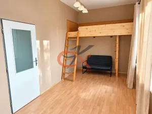 Prodej bytu 1+1, Lipník nad Bečvou, Na Kopečku, 27 m2