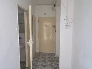 Dražba bytu 3+1, Brno, Nejedlého, 61 m2