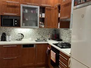 Pronájem bytu 2+kk, Plzeň - Jižní Předměstí, Kollárova, 55 m2