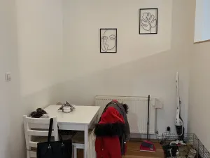 Pronájem bytu 2+kk, Plzeň - Jižní Předměstí, Kollárova, 55 m2