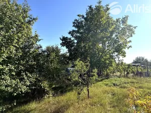 Prodej zahrady, Vojkovice, 910 m2