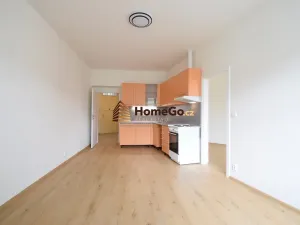 Pronájem bytu 2+kk, Praha - Nusle, Žateckých, 55 m2