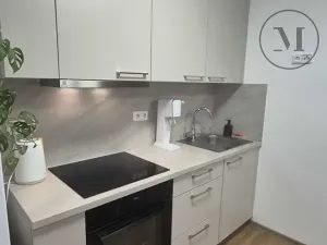 Pronájem bytu 1+kk, České Budějovice, Pekárenská, 22 m2