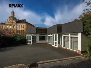 Pronájem obchodního prostoru, Plzeň, Na Roudné, 150 m2