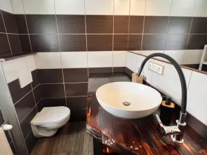 Prodej rodinného domu, Bílina - Újezdské Předměstí, Alšova, 150 m2