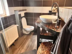 Prodej rodinného domu, Bílina - Újezdské Předměstí, Alšova, 150 m2