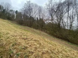 Prodej pole, Semily, 7826 m2